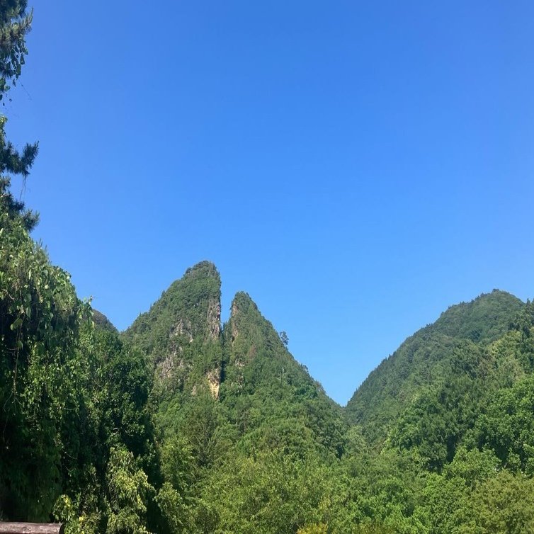 佐渡金山（佐渡島）2024/6/20｜大学1年生。愛知県発！自転車で