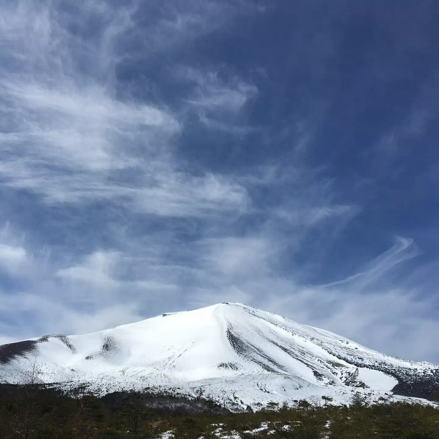 ロッキーあらためロッ氣ー