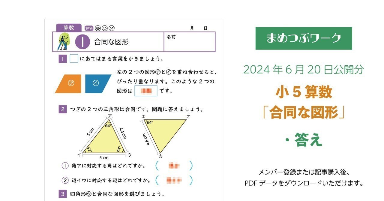答え「小5算数｜合同な図形」2024.06.20公開(全3枚)｜まめつぶワーク