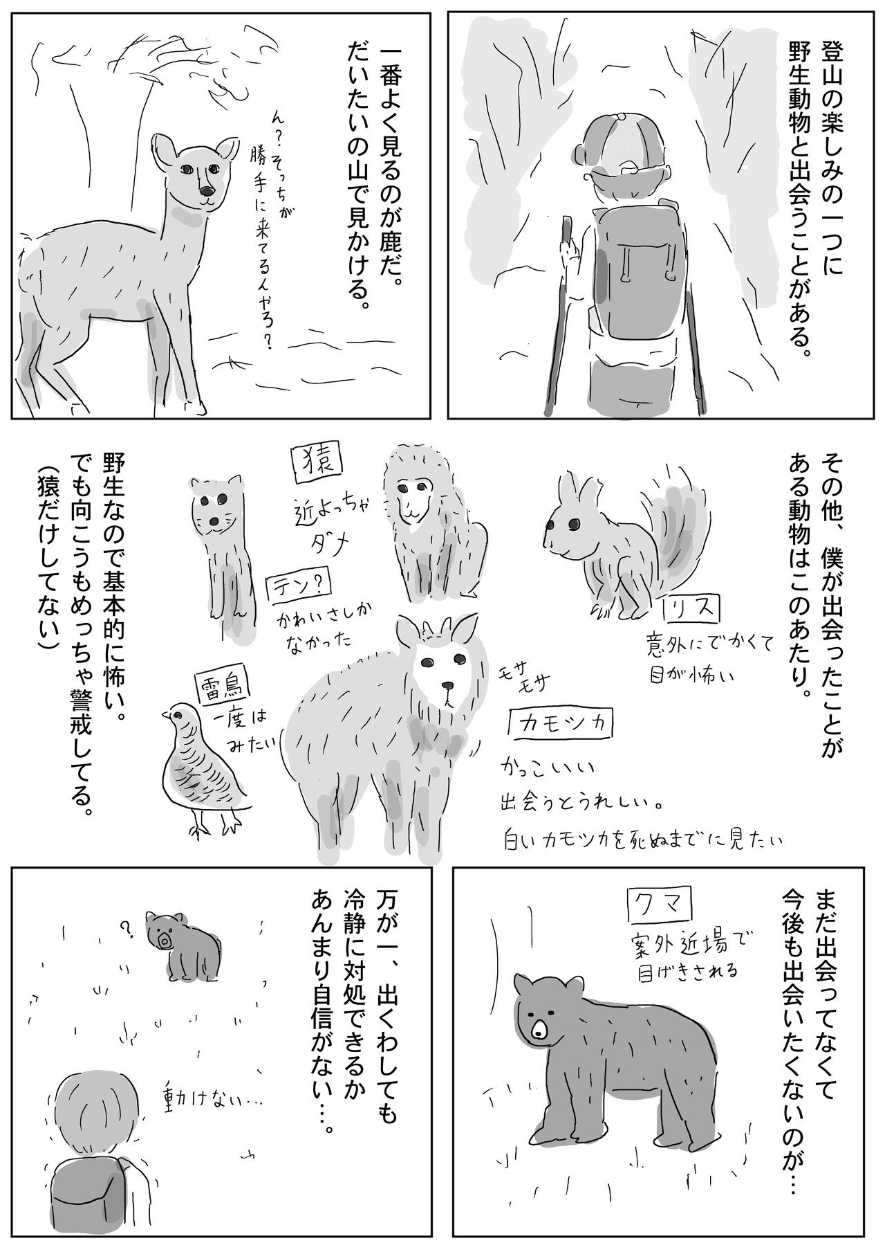 ワクワク お山の動物たち大集合 まるいがんも Note