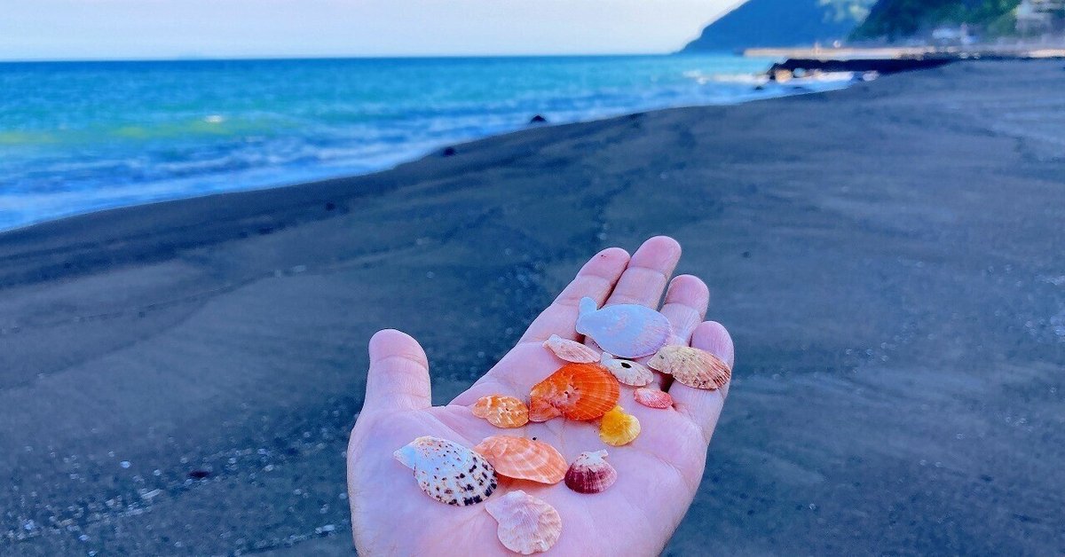 カラフルなナデシコと陶片とシーグラス!伊豆熱川海岸(濁川より カラフルなナデシコと陶片とシーグラス!伊豆熱川海岸(濁川より