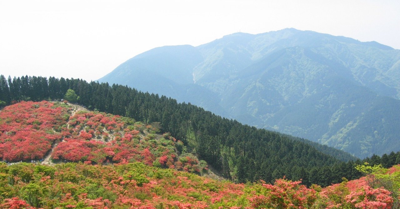 ▼ 近江百山  近江百山之会 鈴鹿 琵琶湖 登山 山登り ガイド 百名山 a ▽希少 近江百山 近江百山之会 鈴鹿 琵琶湖 登山 山登り ガイド 百名