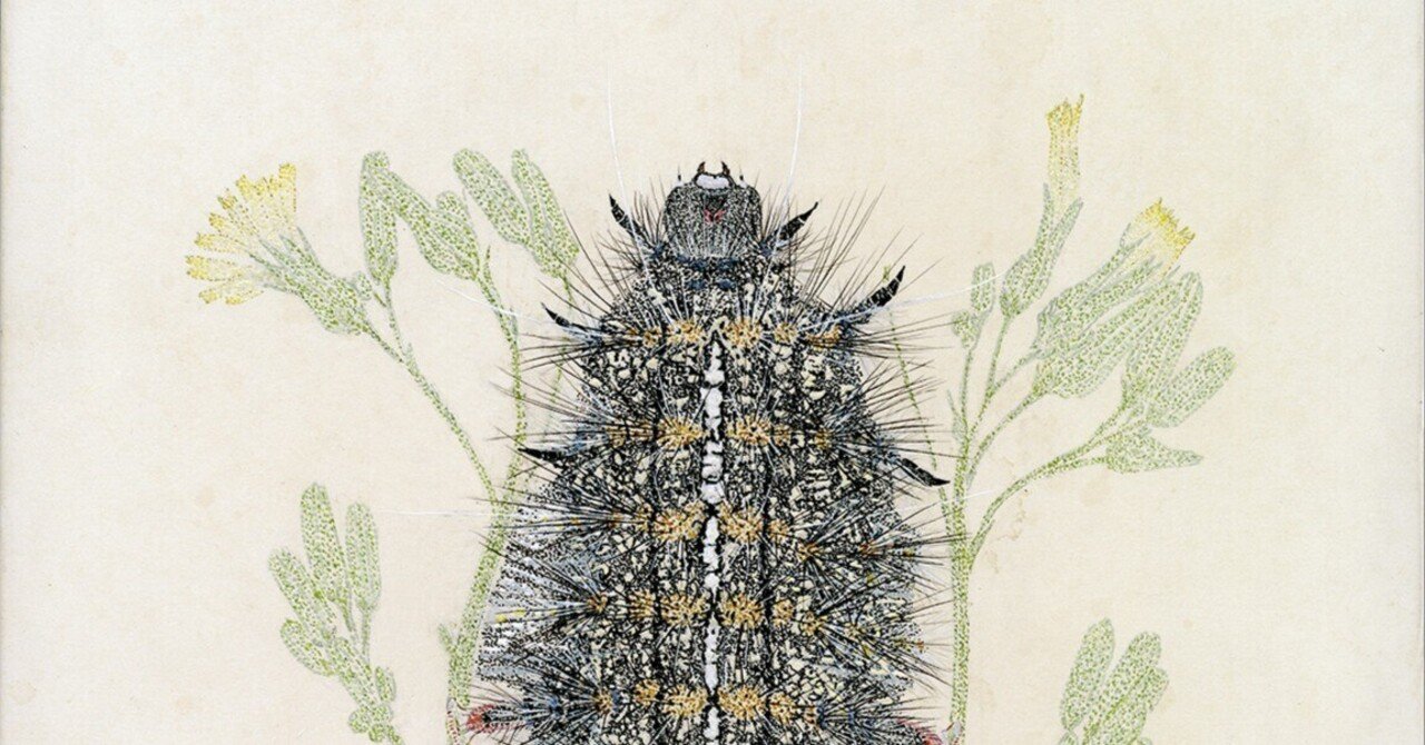 夏だ虫だ鎌倉だ！『蟲？？？ 養老先生とみんなの虫ラボ』に新作