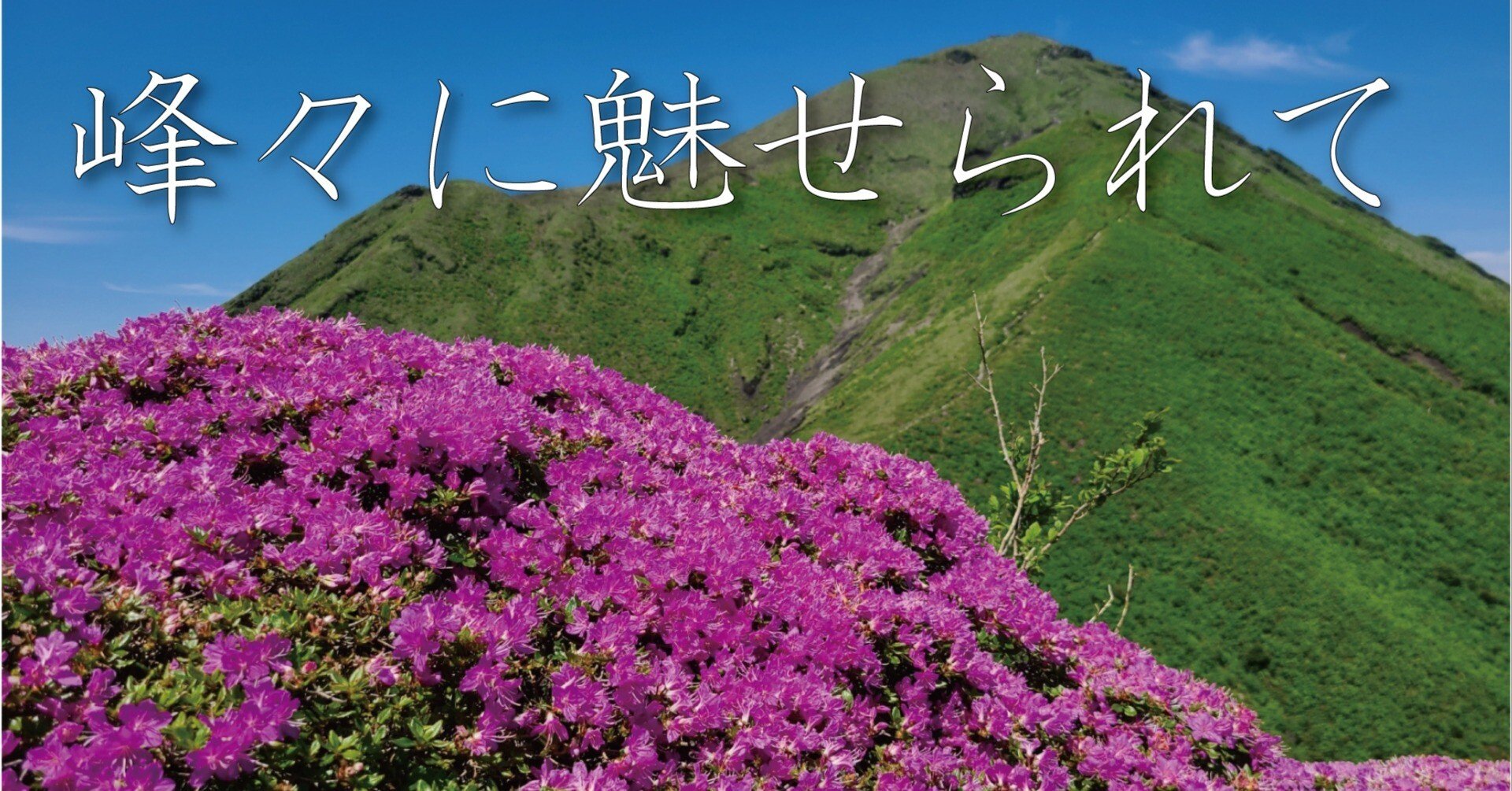 3af33fca8e2cb8563f132453593f10