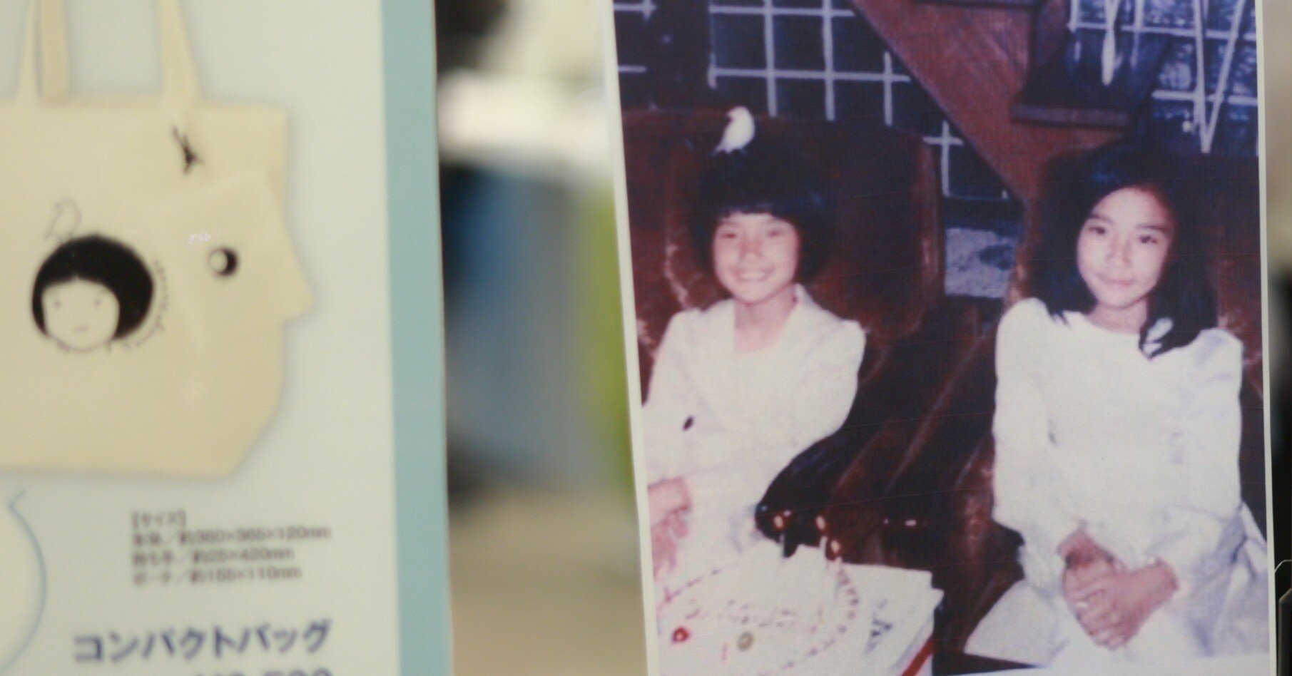 c785545a58bea8f3db3c4b96bdf08d