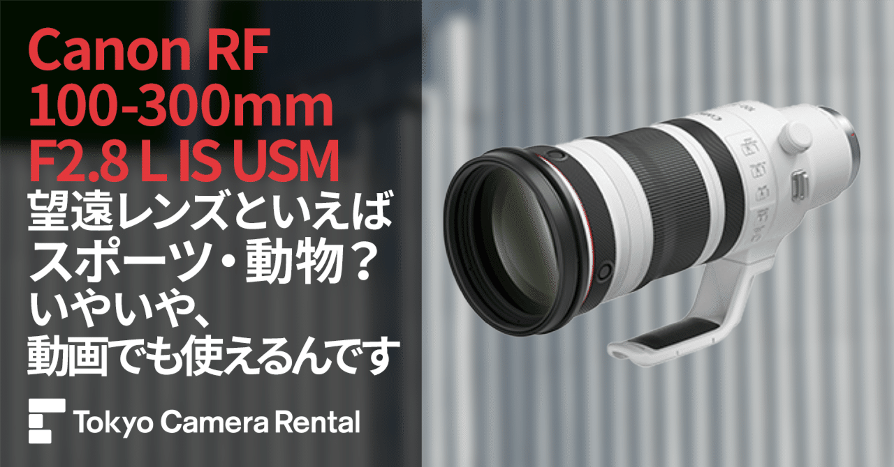 Amazon.co.jp: Canon EF 100-300mm f/4.5-5.6 USM 望遠ズーム