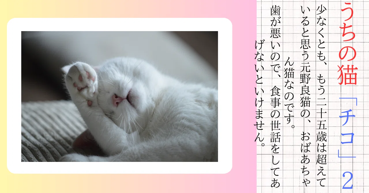 見出し画像