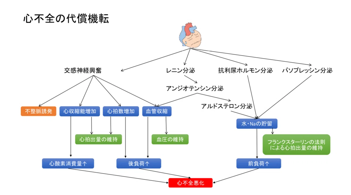 代償機転とは わかりやすく : よくわかる 1から学ぶ 侵襲と生体 – PMTMF