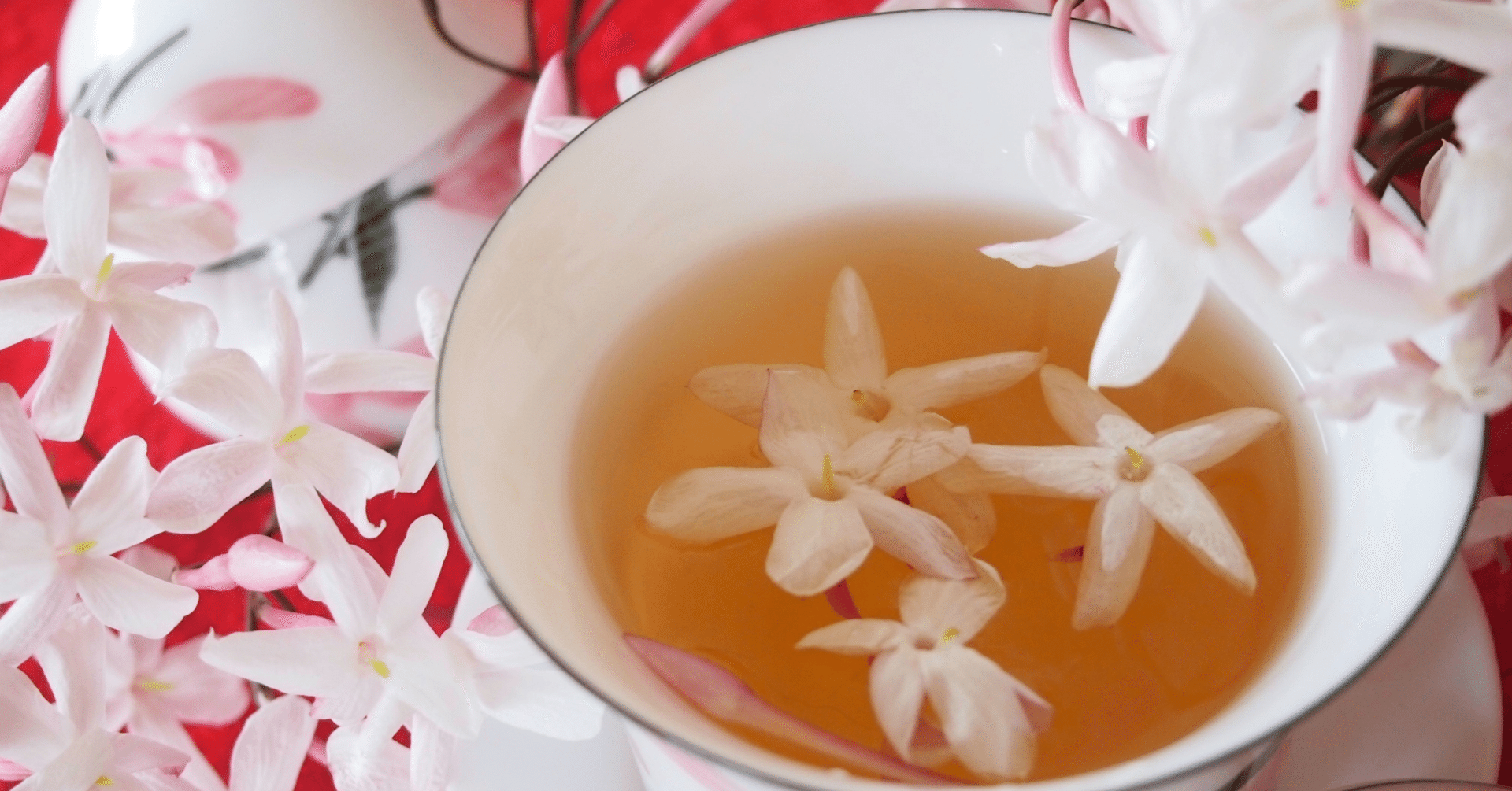 天官賜福』英語版を読むのに必須だったもの｜ふわちゃまる