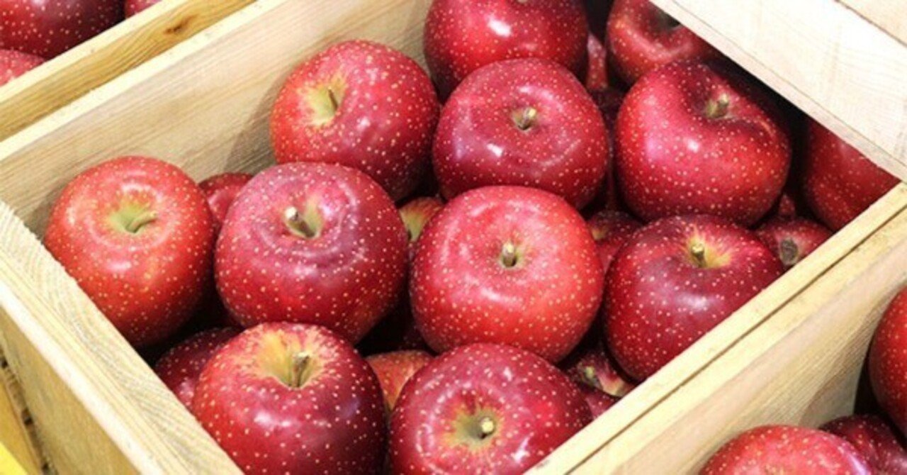 雪林檎様 お見積りページ Brutus No. 949 試し読みと目次 | BRUTUS | マガジンワールド