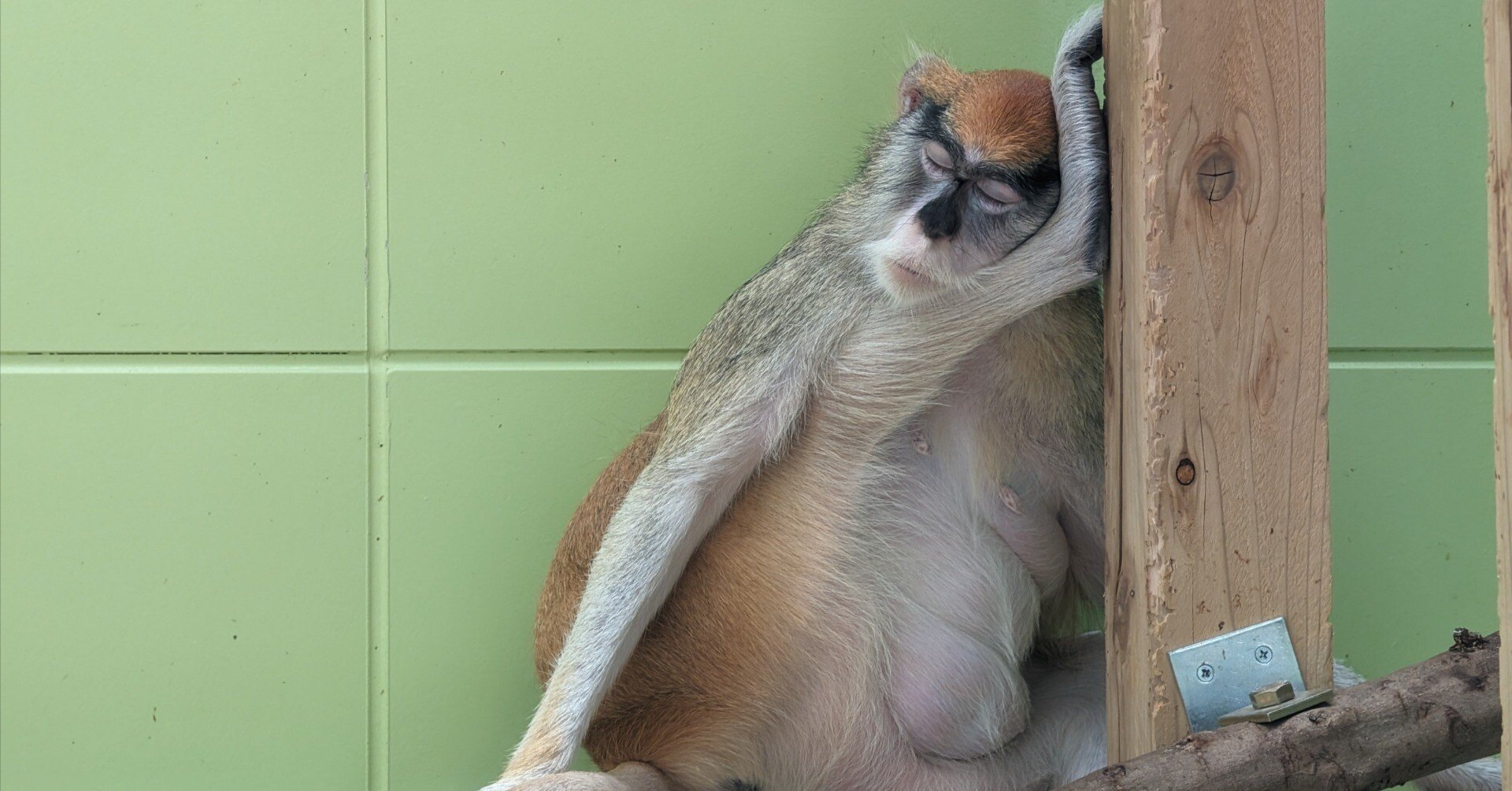 5471c0f97bbc98a388438184a8a2d2