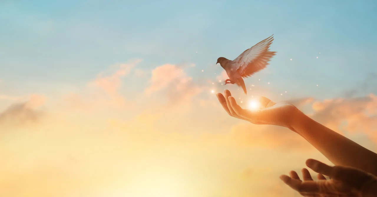 The True Meaning of the 'Final Letting Go' of a Twin Ray That I Arrived ...