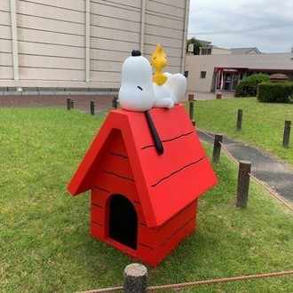 卵子提供エージェント選びの体験談 Aman Note