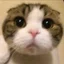 冷笑コンサルタント