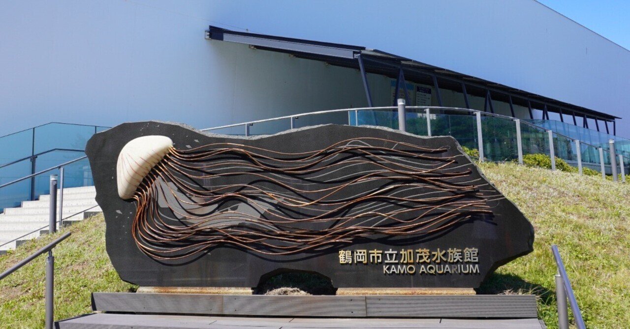 ZASO:216】山形県 #加茂水族館｜ZASOちゃんねる