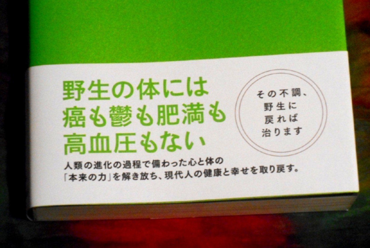 Go Wild で生活習慣を見直し 野生の身体感覚を取り戻せ 書評 塩川水秋 Note