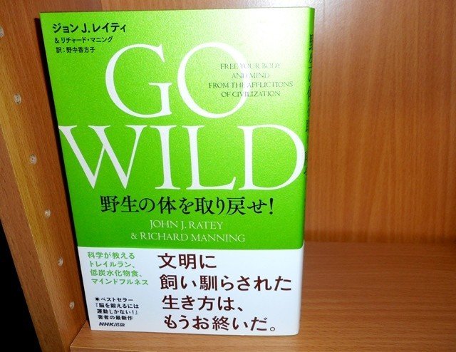 Go Wild で生活習慣を見直し 野生の身体感覚を取り戻せ 書評 塩川水秋 Note