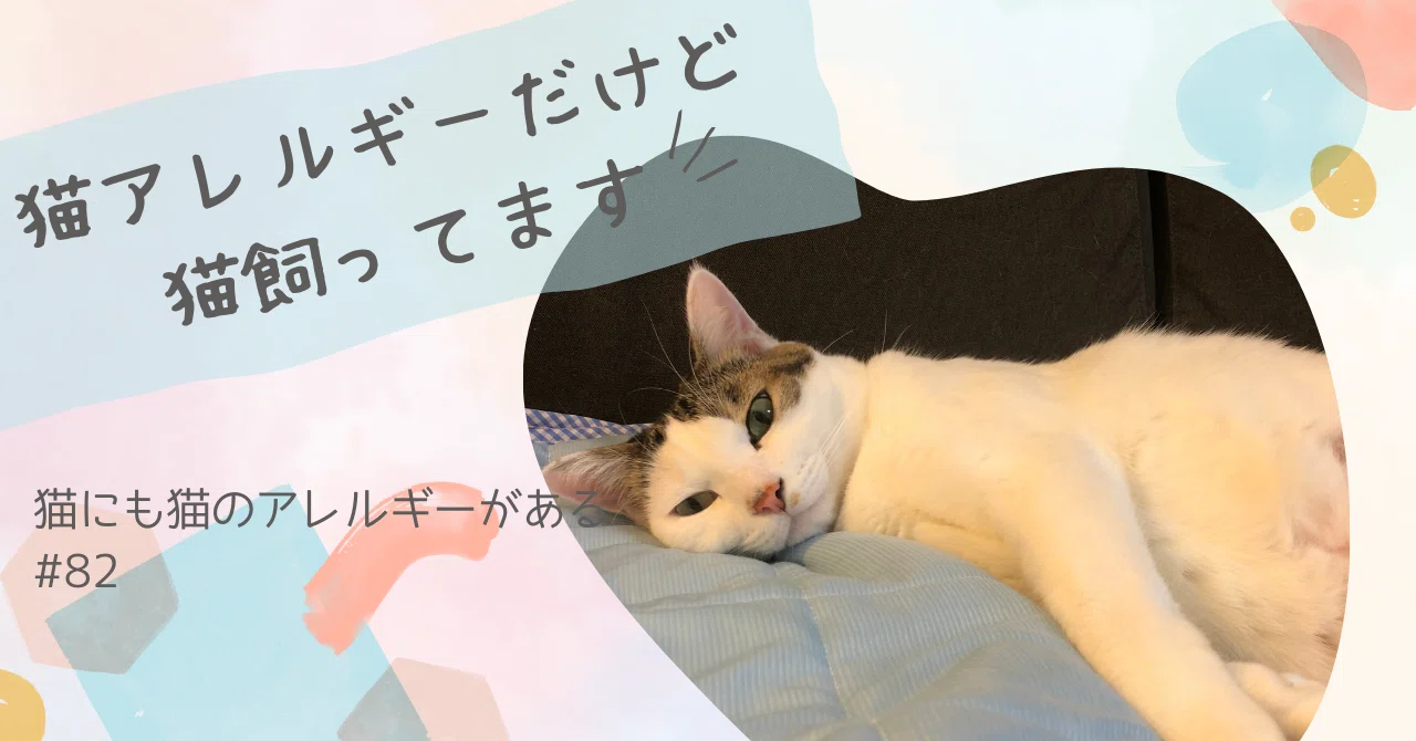 猫には猫のアレルギーがあります｜ネコアレ専科
