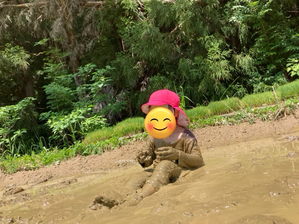 Rice Paddy Magic🪄｜ちゃーちゃん
