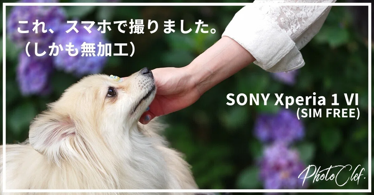 レビュー】Xperia 1 Ⅵ SIMフリー版を持って紫陽花見に行ったら、一眼 