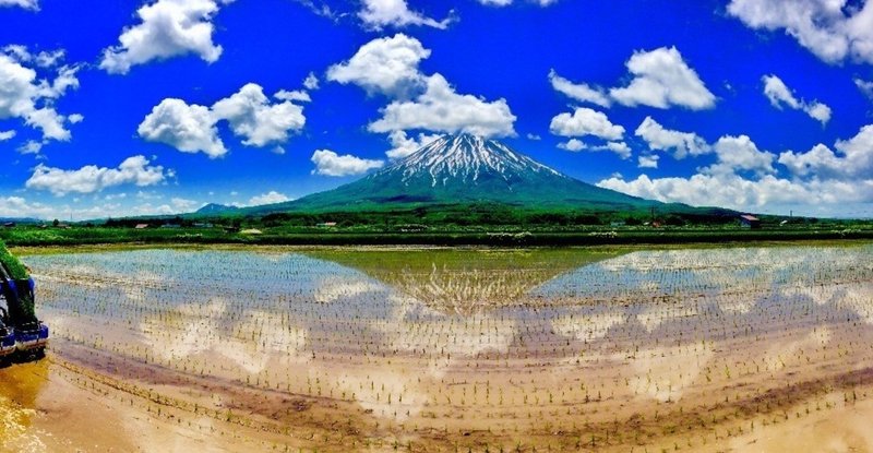 羊蹄山を眺めた短い夏