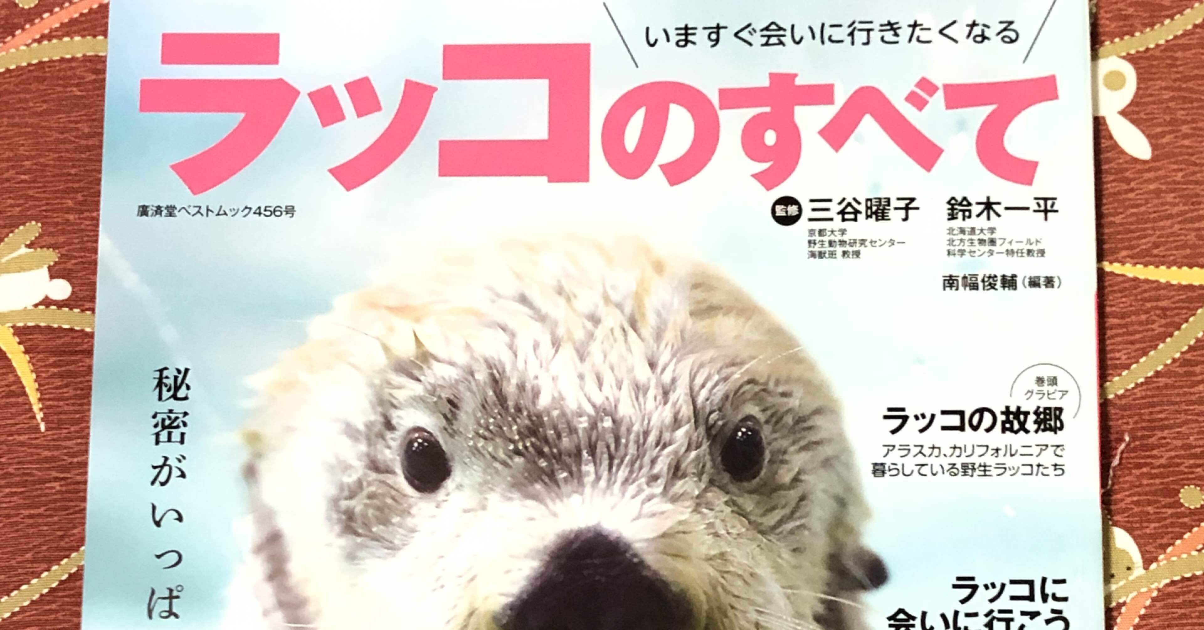 6bad069bfe1d509f8745ab89df8a8e