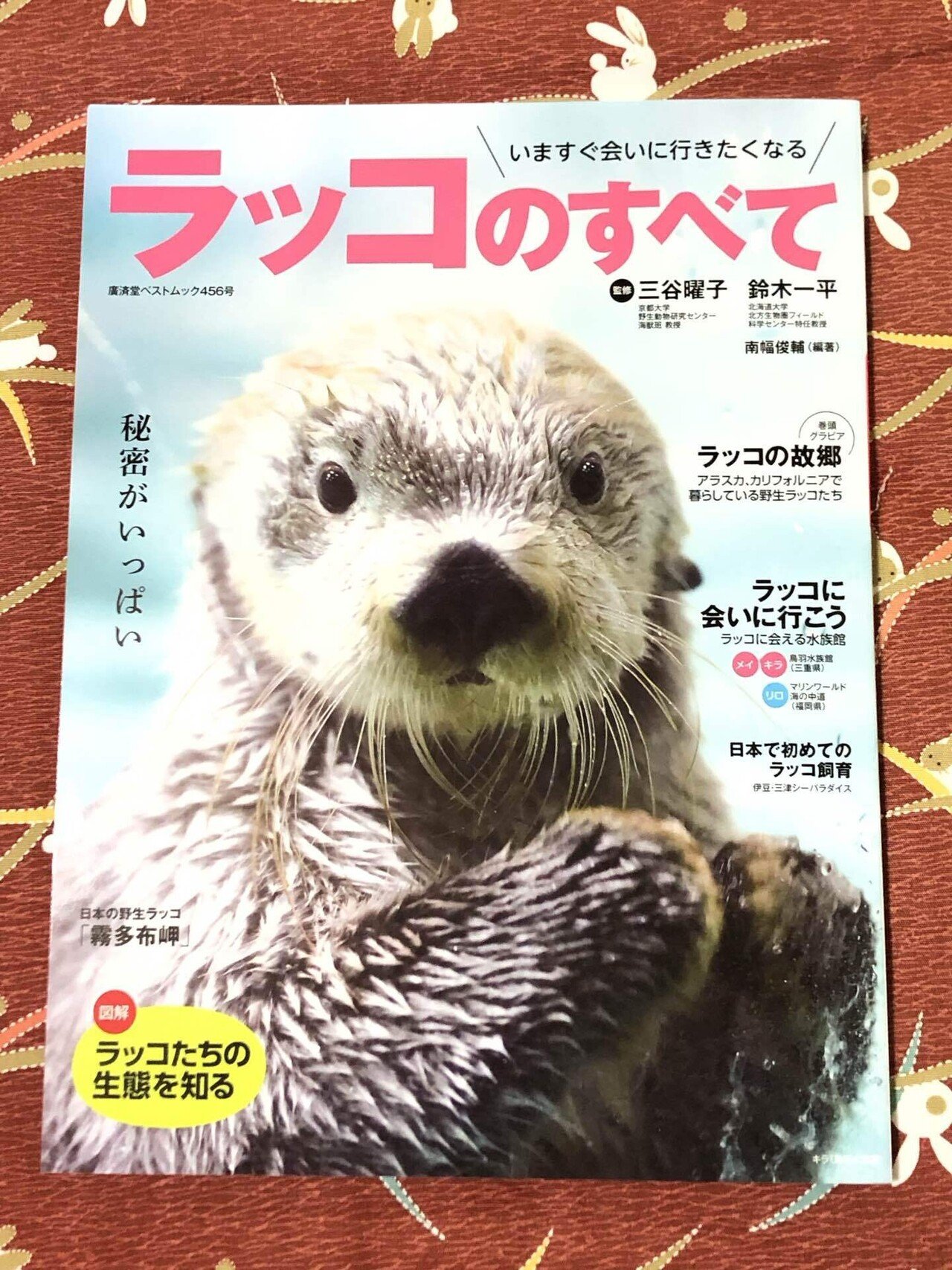 ラッコのすべて』読了｜Olivine