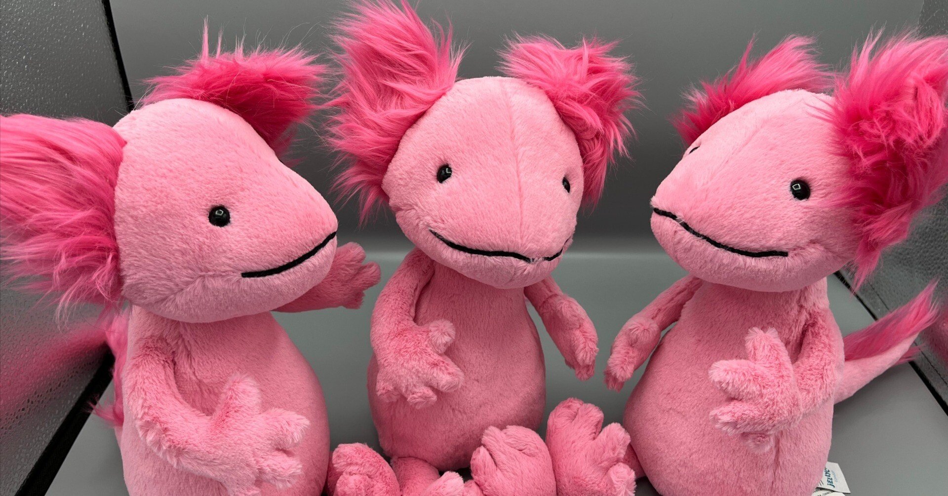 商品紹介：JELLYCAT Alice Axolotl｜紅玉堂