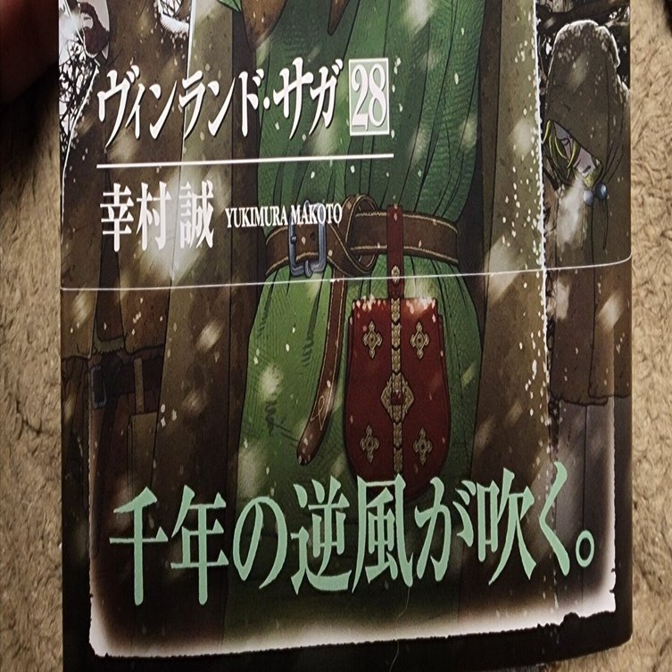ヴィンランド•サガ』28巻｜馬上