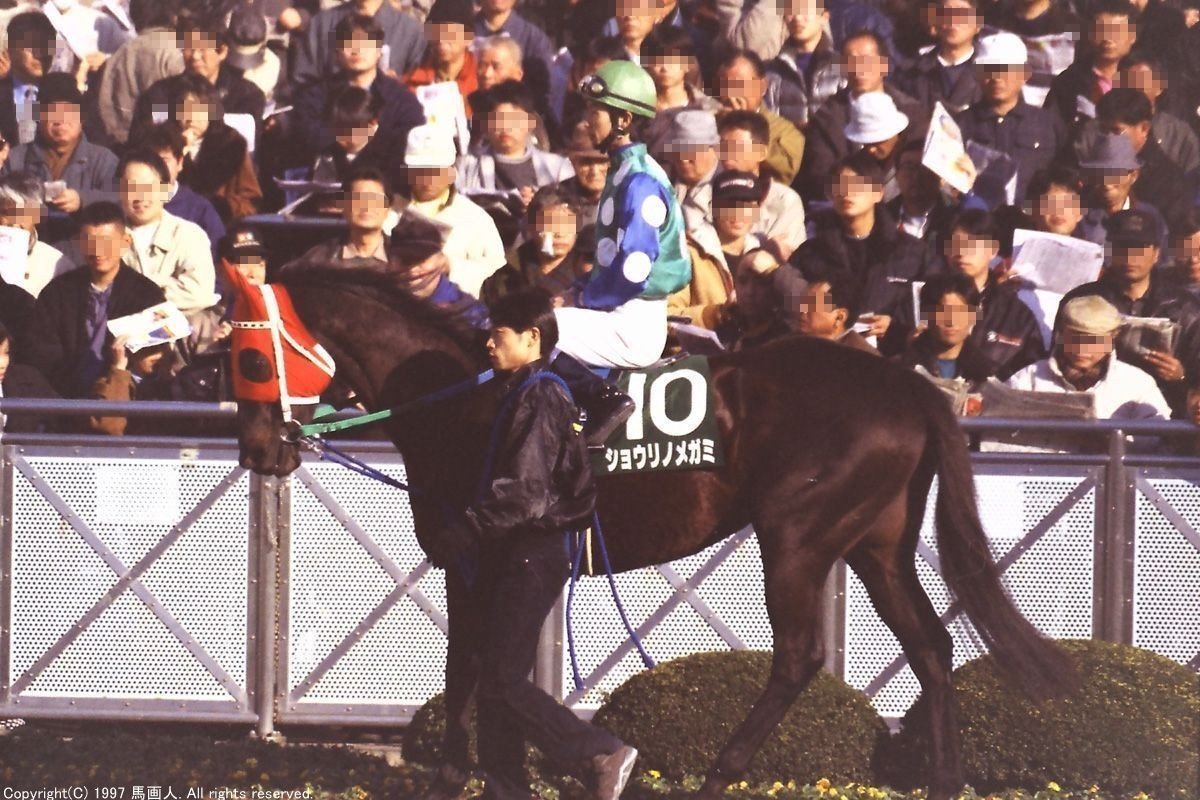 第15回中山牝馬ステークス：蔵出し写真 1997年 ⑩ショウリノ