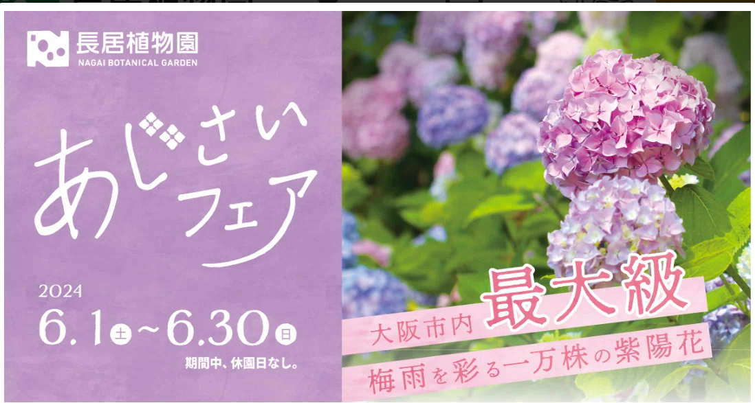 おまとめ あじさいさん専用ページ 娘とあじさいフェアに行ってきた話｜うさこさん