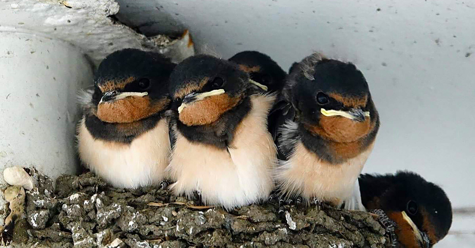 6bd98672851f2ec26337e53d07b4f3