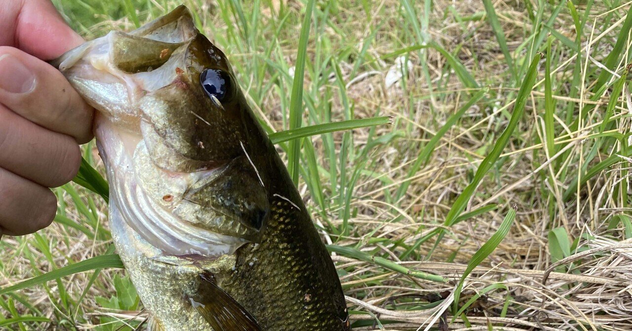 着水音とラインスラック｜U［Blind Alley］