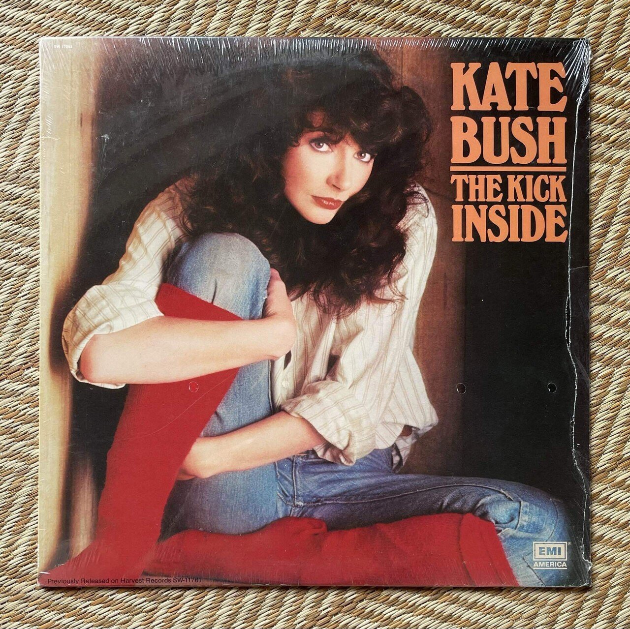 The Kick Inside マニアック｜xtc23