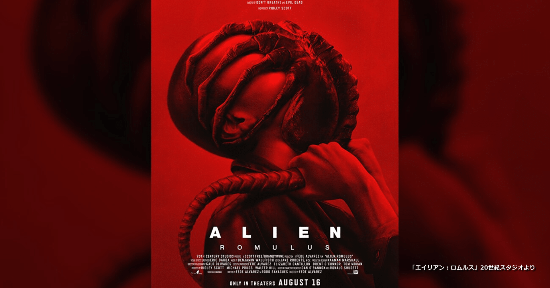 エイリアン　ロムルス　キャップ　ALIEN 映画 人間に寄生する戦慄の瞬間……「エイリアン ロムルス」“第2形態”ポスター