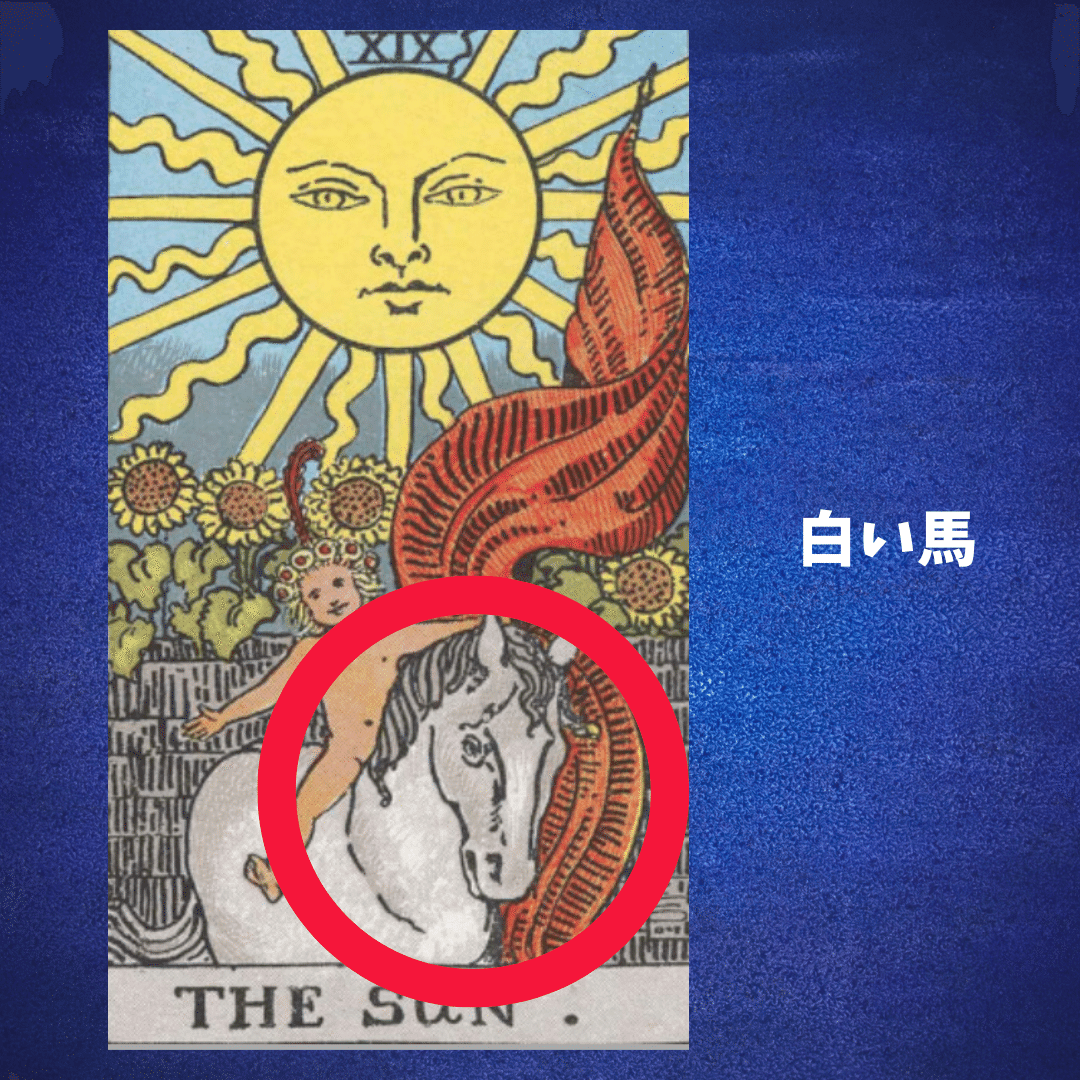 XIX. 太陽 [The SUN] - タロットカード解説