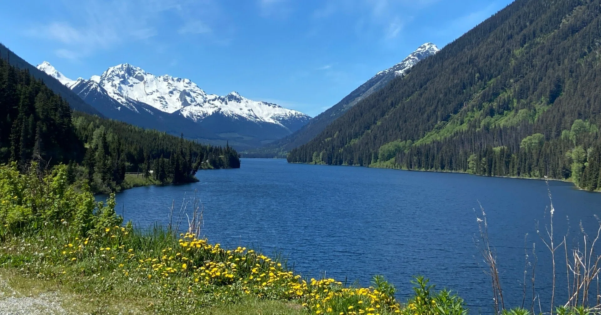 ロードトリップ（A happy little Road trip in BC )①バーカービル