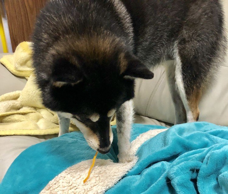 スパゲティからのキス の新着タグ記事一覧 Note つくる つながる とどける
