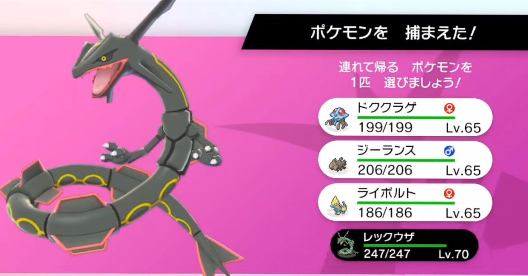 a497362853fe4de55355e9d4bfd21c