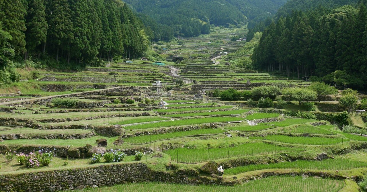 440 愛知・新城 魅惑のTKGと絶景の棚田を求めて｜ミヤコカエデ（Miyako