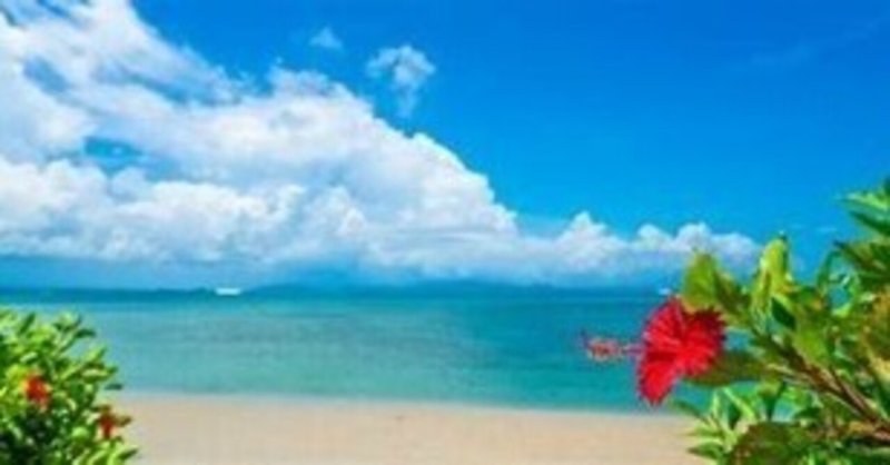 海の風景画「コート・ハイビスカス」南の海、珊瑚の島 （ミコ