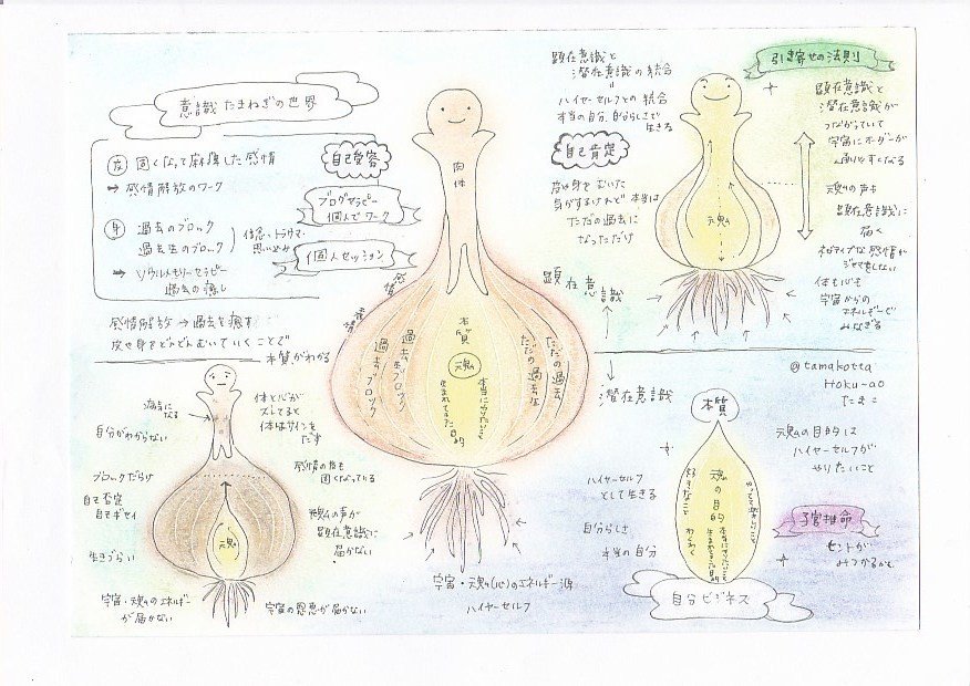 最新版意識たまねぎの世界