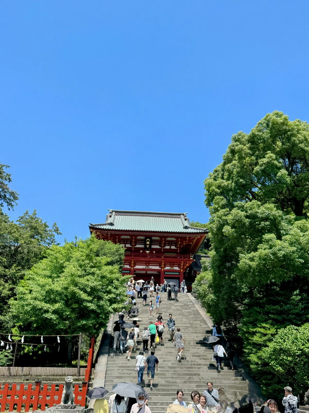 金を洗いに、洞窟へ｜鶴岡八幡宮💰銭洗弁財天⛩️宇賀福神社