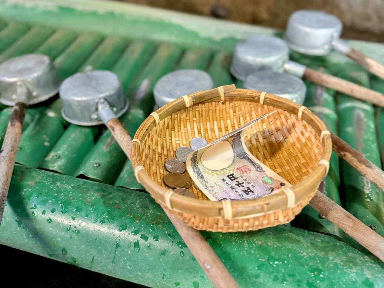 金を洗いに、洞窟へ｜鶴岡八幡宮💰銭洗弁財天⛩️宇賀福神社
