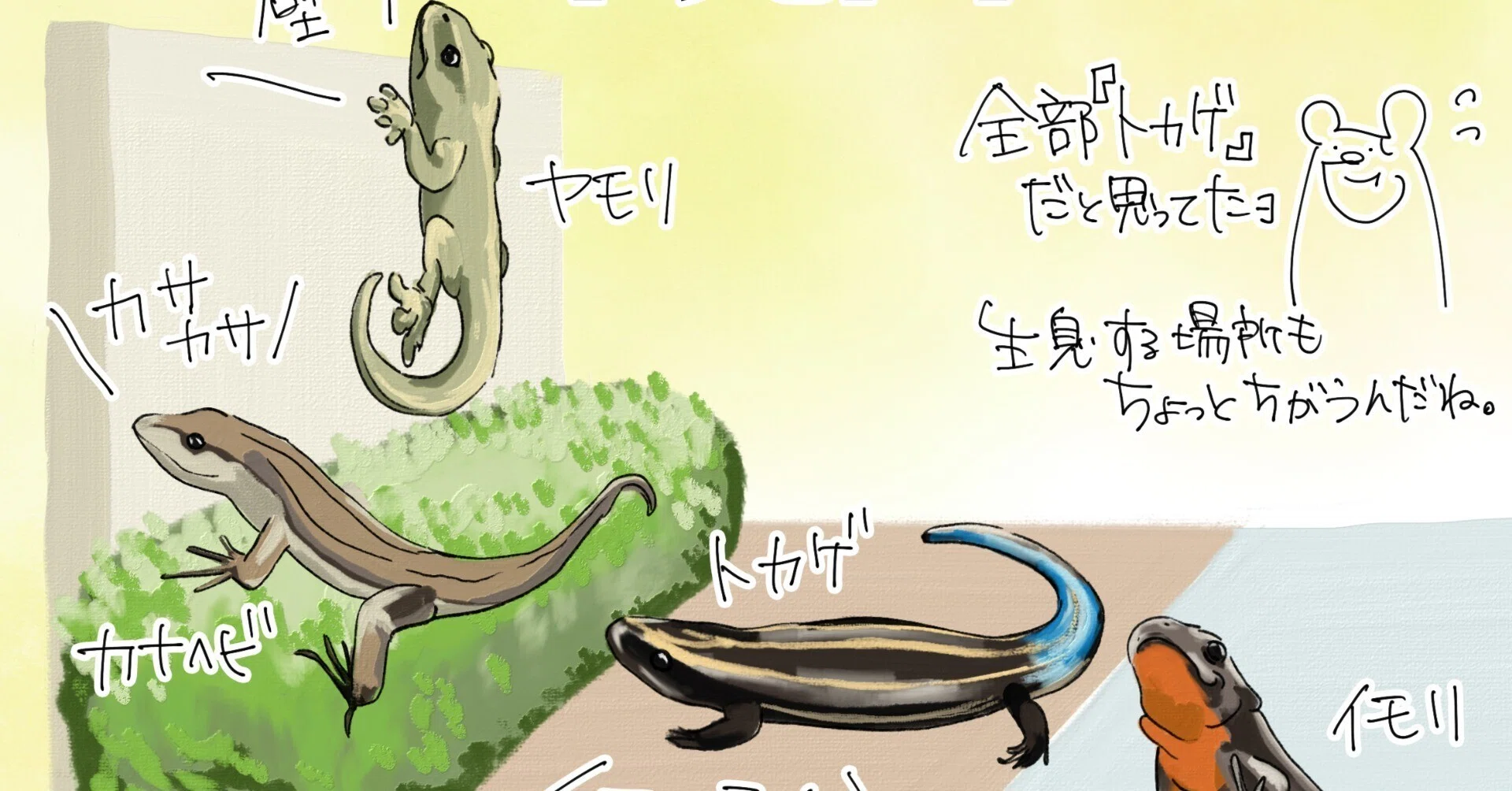 トカゲっぽい4種早見図｜くますけ｜自然ガイド・クリエイター