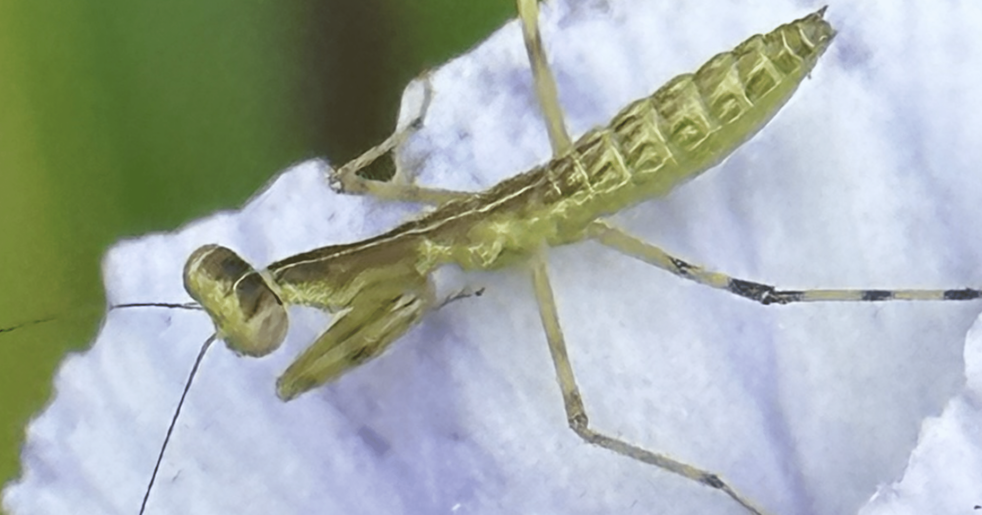 bc667b12a7e6b965b8604634949deb