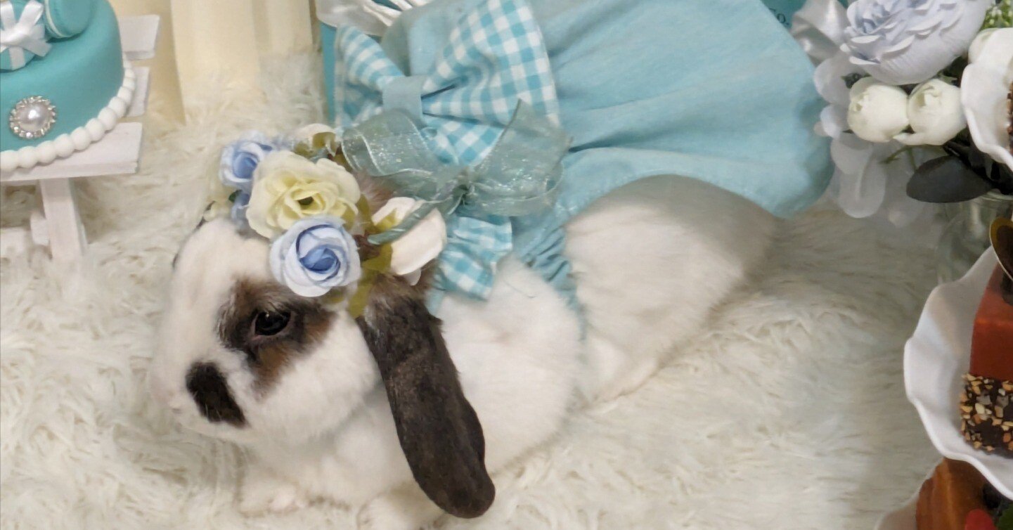 全文無料】黒単アビスについて考える｜ずかちょん