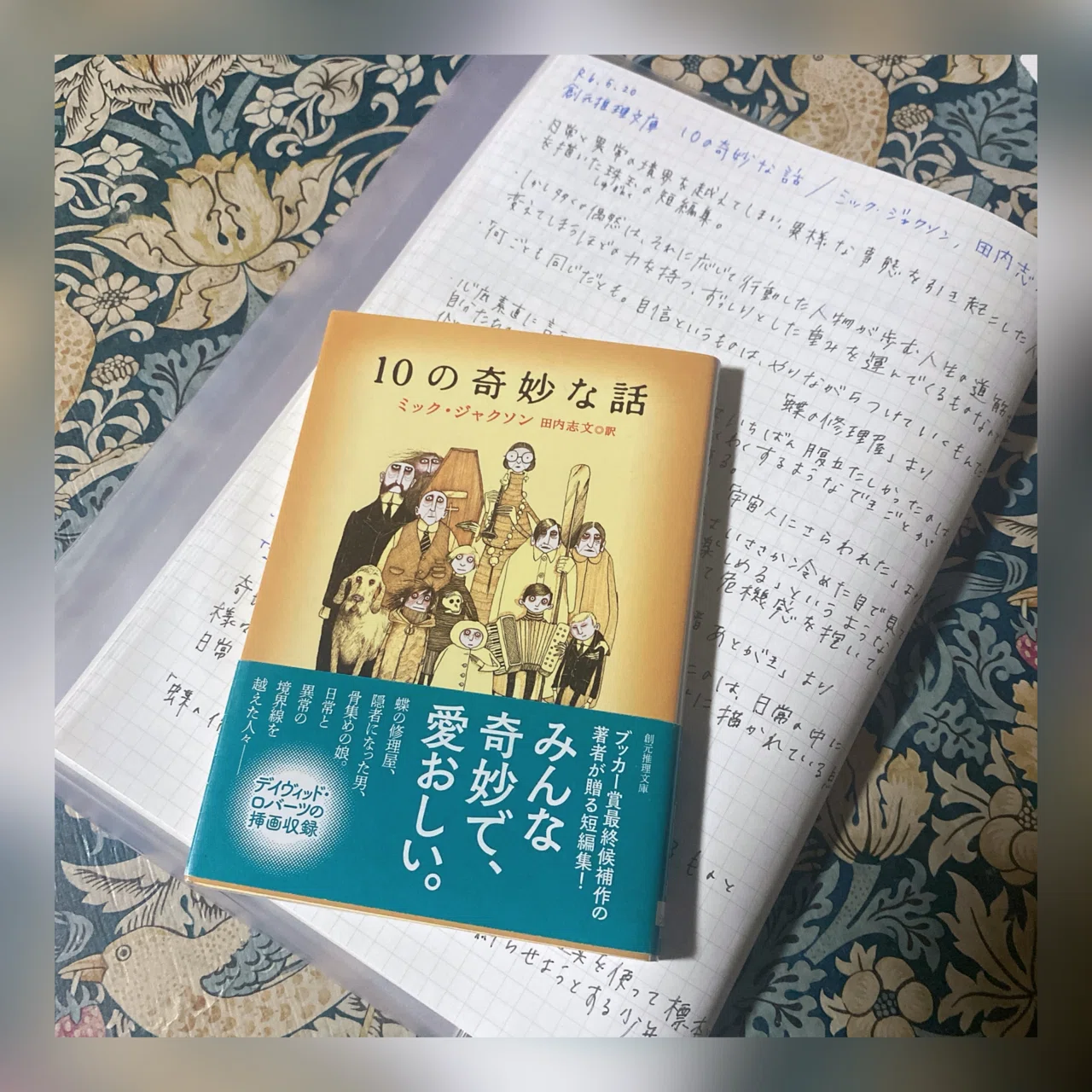 10の奇妙な話/ミック・ジャクソン、田内志文(訳)｜菜穂ーなおー