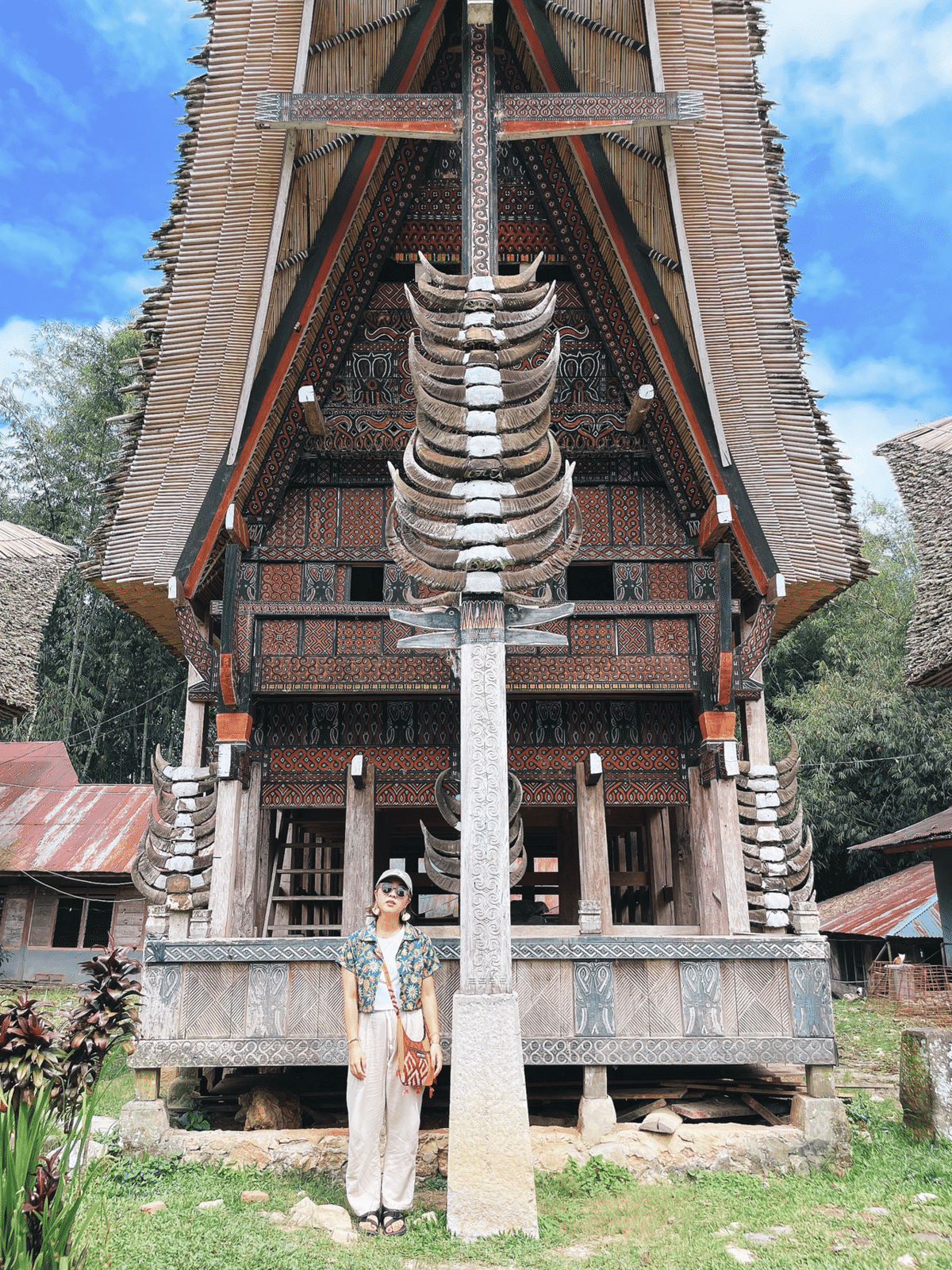 トラジャ旅#D2】クレイジージャーニーでも取り上げられたあの世界一