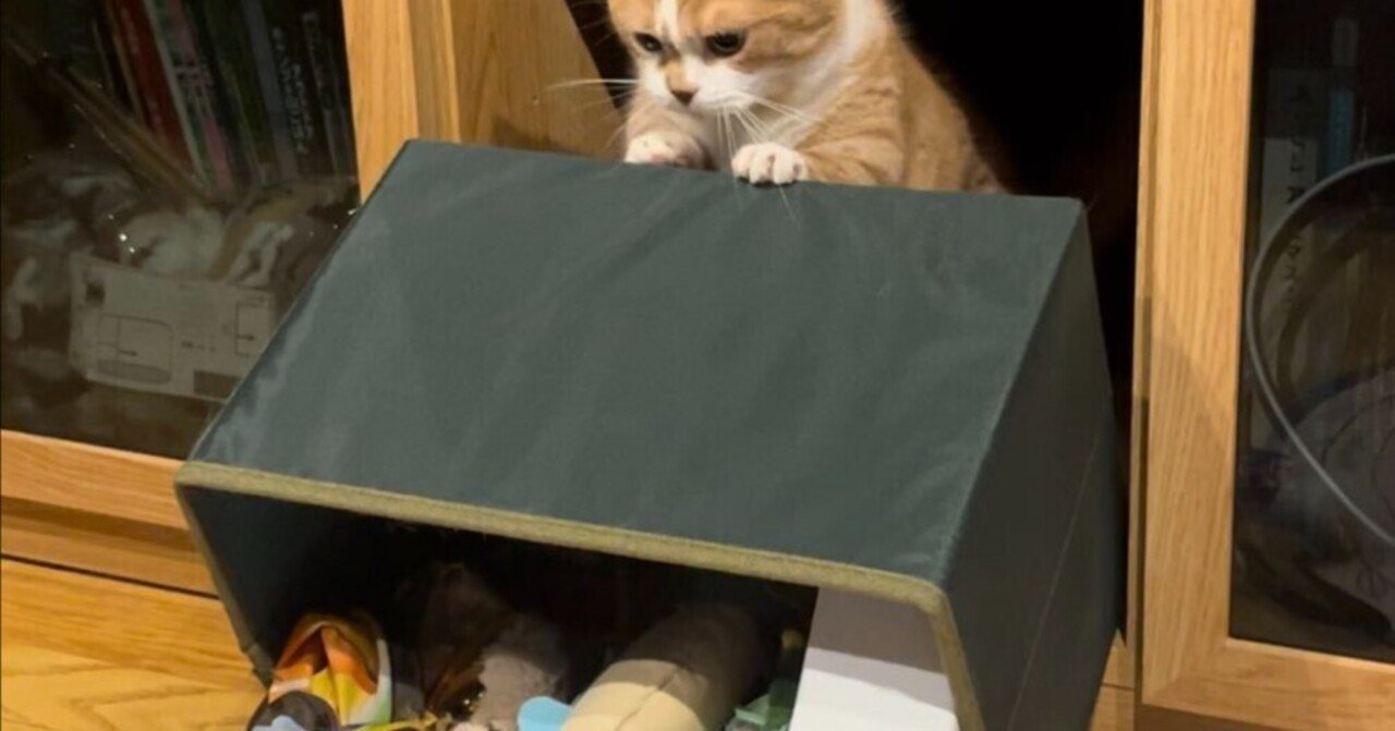 やっちまったなぁ」玩具箱を思い切りぶちまけた猫ちゃん、大胆な犯行の